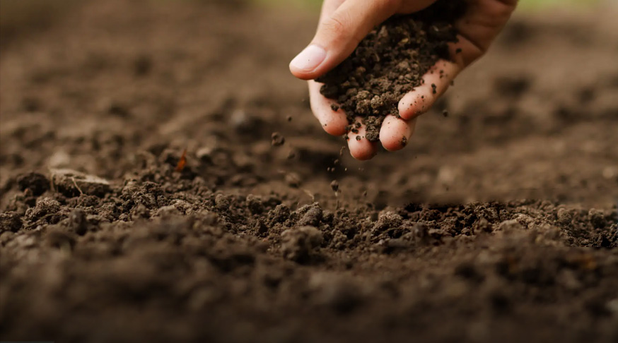 Mature compost pellets for soil improvement made by compost pellet machine