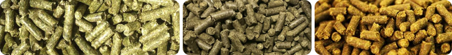 Good palatability grass pellet