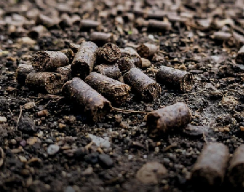 Animal manure organic fertilizer pellets for soil fertility restoration