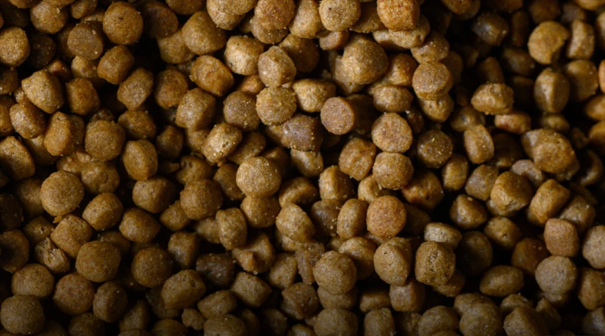 Expanded corn and soybean raw materials processed by feed extruder