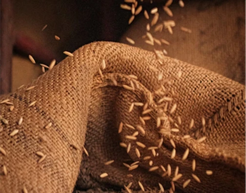 Rice husk as raw material for waste recycling biomass fuel pellets