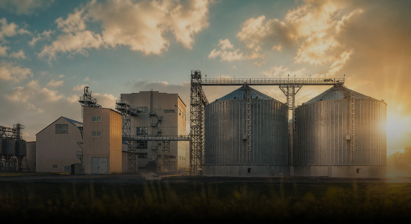 Ruminant feed pellet production line for cattle, sheep and camel mixed hay and grain feed
