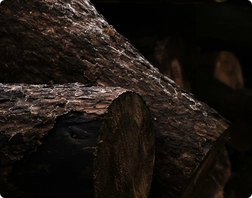 Wood logs and chips as raw materials for biomass fuel pellet production