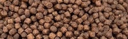 aqua pellet feed
