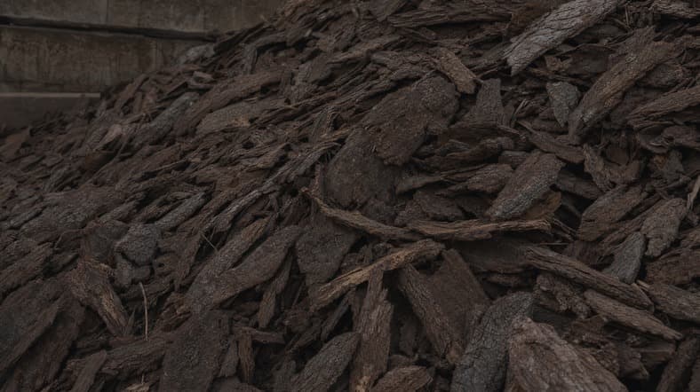 Easily accessible bark