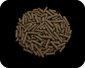 High quality broiler manure pellets