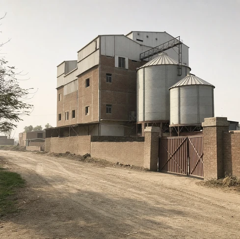 A poultry feed pellet plant with a capacity of 3-5 tons/hour in Pakistan