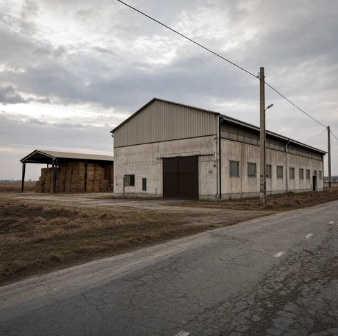 A straw biomass pellet production line with a capacity of 2.5-3 tons/hour in Romania