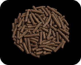Healthy catfish floating feed pellets