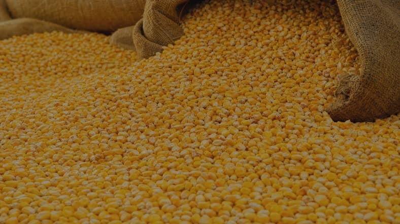 Easily accessible corn