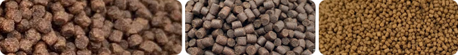 Pellets produced by a floating fish feed production line
