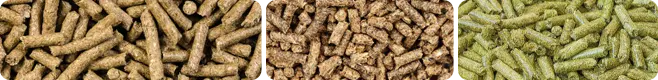 Pellets produced by a poultry feed production line
