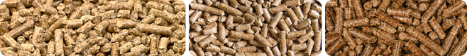 Pellets produced by a wood pellet production line