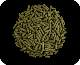 Professional grass carp floating feed pellets