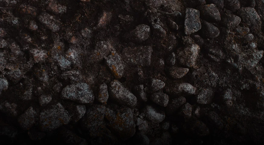 livestock poultry manure as material for organic fertilizer