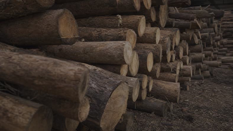 Easily accessible log