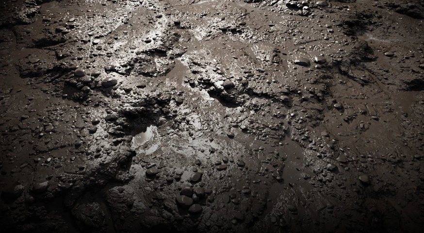 municipal sludge as raw material for organic fertilizer