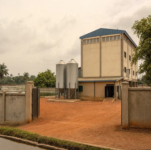5T/H floating fish feed extruder plant with hammer mill in the Philippines