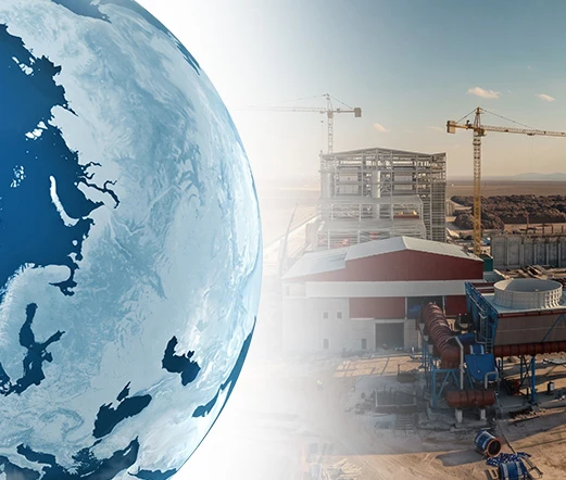richi global project experience