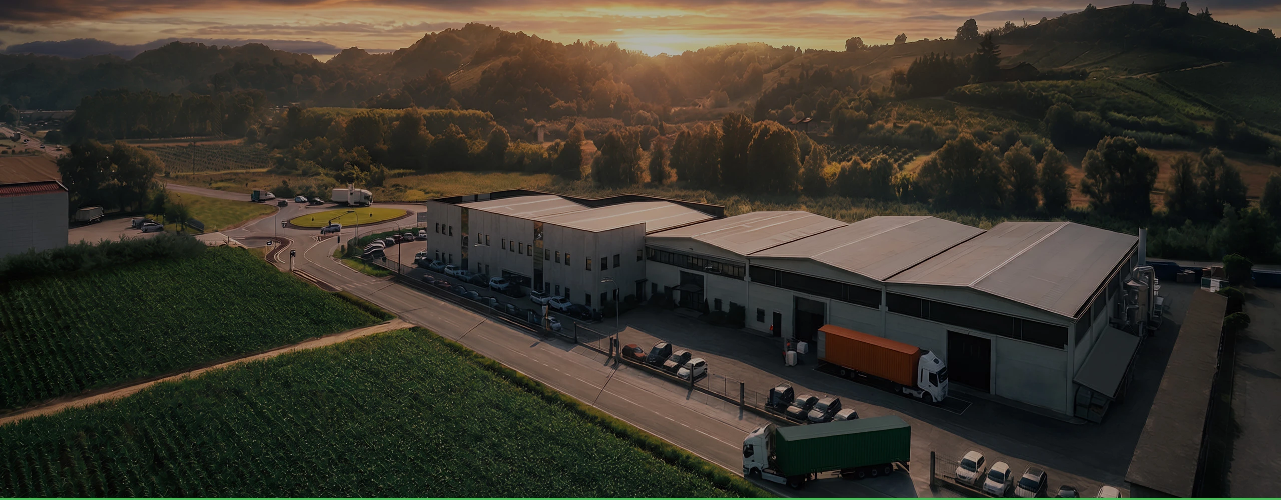 richi organic fertilizer pellet processing plant case