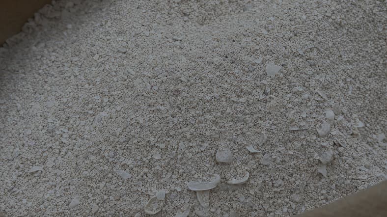 Sea shell meal as a raw material for floating fish feed
