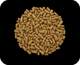 Nutritious tilapia floating feed pellets