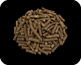 High quality turkey manure pellets