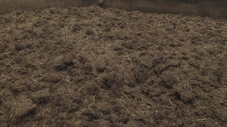 Easily accessible turkey manure