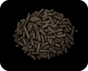High quality wet chicken manure pellets