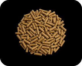 High quality wood block pellets